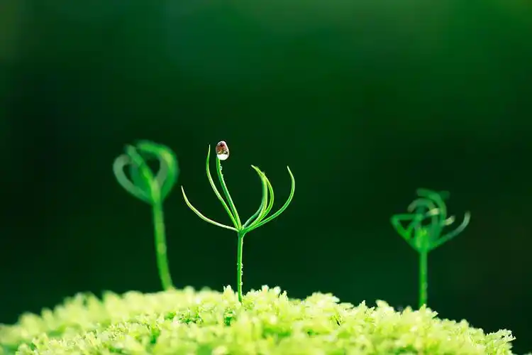 2026年度氢氟碳化物(HFCs)配额总量设定与分配方案征求意见稿!