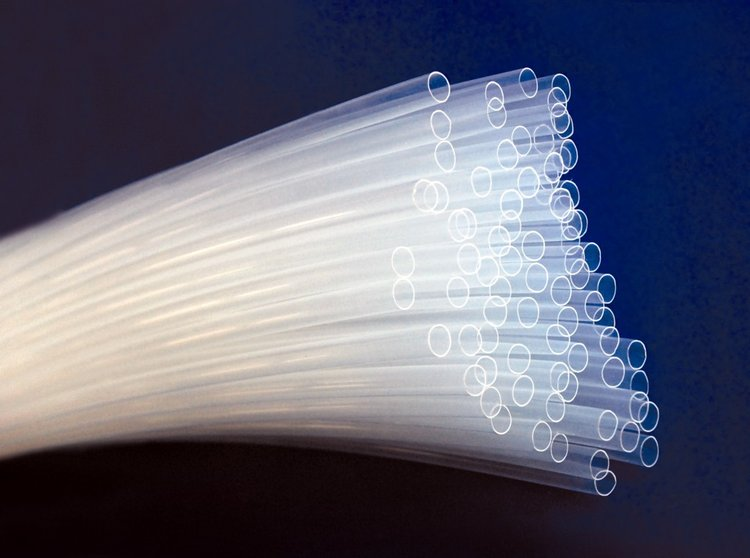 福建1500吨高端含氟聚合物项目阶段性竣工落地！